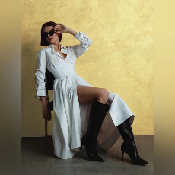 Alice Olivia EDIE CORSET BUTTON DOWN MIDI DRESS $550 NEW without tag - Picture 1 of 11